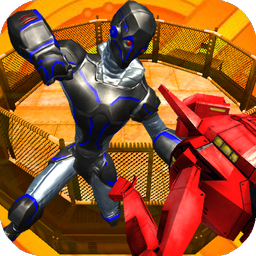 Robot Virtual Boxing 3D
