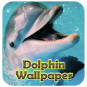 Dolphin Wallpaper Live