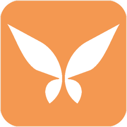 زیباسا
