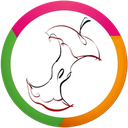 Core Vocabulary