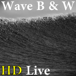 پس زمینه زنده موج دریا HD B/W