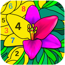 کتاب رنگ آمیزی شماره - Color Number