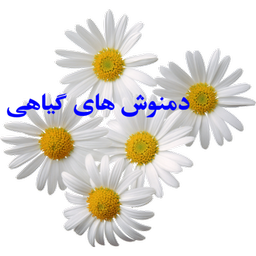 دمنوش های گیاهی