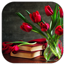 داســـــتان هایـــی از معصومین