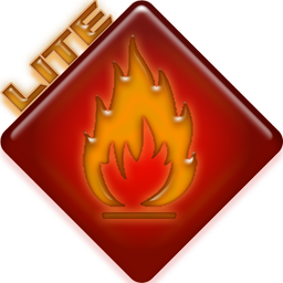 Dangerous Goods ADR 2025 Lite