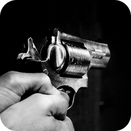 REAL GUN SOUNDS