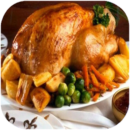 انواع خوراک با مرغ و پرنده
