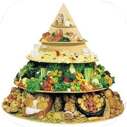 علوم تغذیه