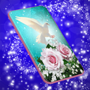 Dove Romantic Live Wallpaper