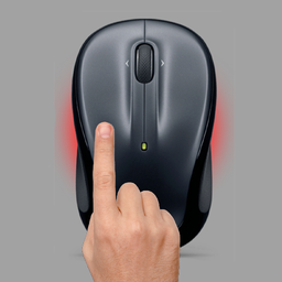 Computer Mouse