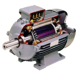 Introduction to electric motors