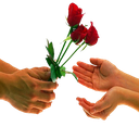 مهارت های زندگی (ویژه)