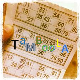 Tambola Number  caller application