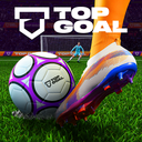 Top Goal: Soccer Champion