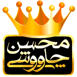 محسن چاوشی شو