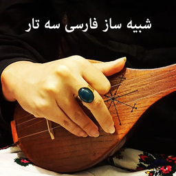 شبیه ساز سه تار