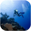 اقیانوس ها