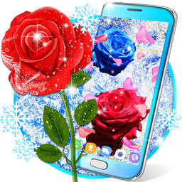 Winter rose live wallpaper