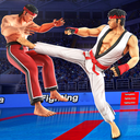Karate Heroes Street Battle