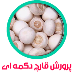 آموزش پرورش قارچ دکمه ای+دانلودفیلم