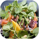 غذاهای گیاهی