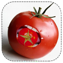 گوجه