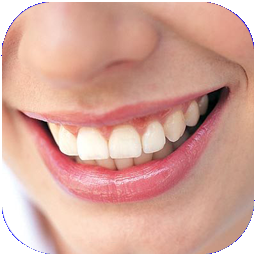 دندون