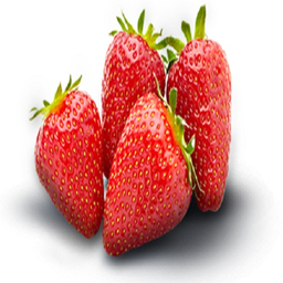درمان با گیاهان دارویی