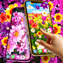 Flowers live wallpaper