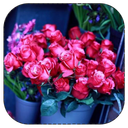حکایت های رنگارنگ