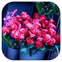 حکایت های رنگارنگ
