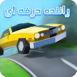 Professional driver game