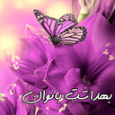 بهداشت بانوان