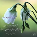 کلام نور