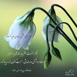 کلام نور