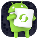 Software Update