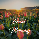Good Morning & Flowers - Image