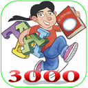 3000