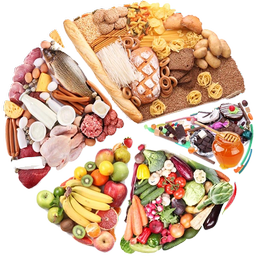 تغذیه سالم برای همه