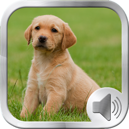 Dog Sounds Ringtones