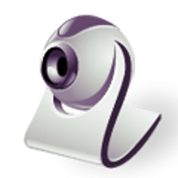 USB Camera Standard