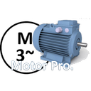 Electric Motor PRO