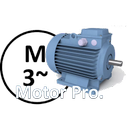 Electric Motor PRO
