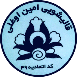 قالیشویی امین اوغلی
