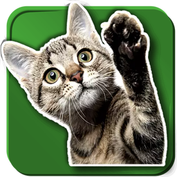 WASticker Cats