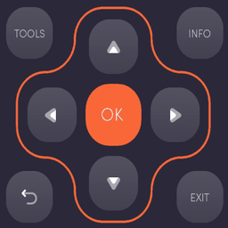 Insignia Fire TV Remote