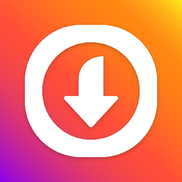 Video downloader for IG