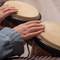 Bongo Drum Sounds