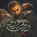 فیلم درخت گردو