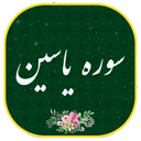 سوره یاسین صوتی ومتنی